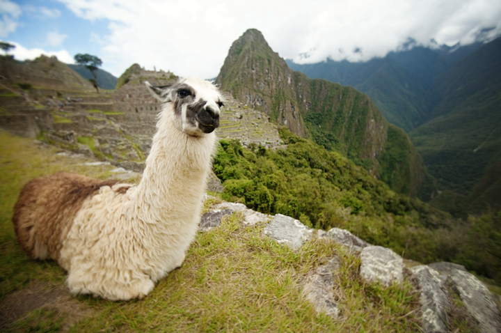 8 Ways NOT to do Machu Picchu