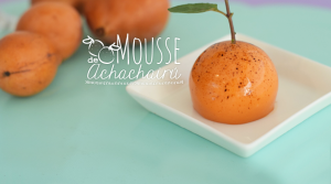 Mousse de Achachairú, Serendipity (Santa Cruz, Bolivia)